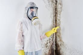 Kiawah Island, SC Mold Removal & Remediation Company